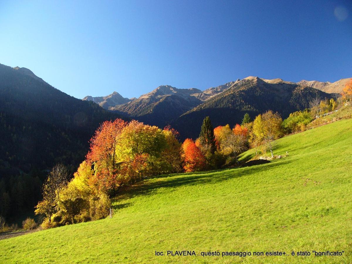 Alpen Garten Hotel Margherita Rumo Buitenkant foto